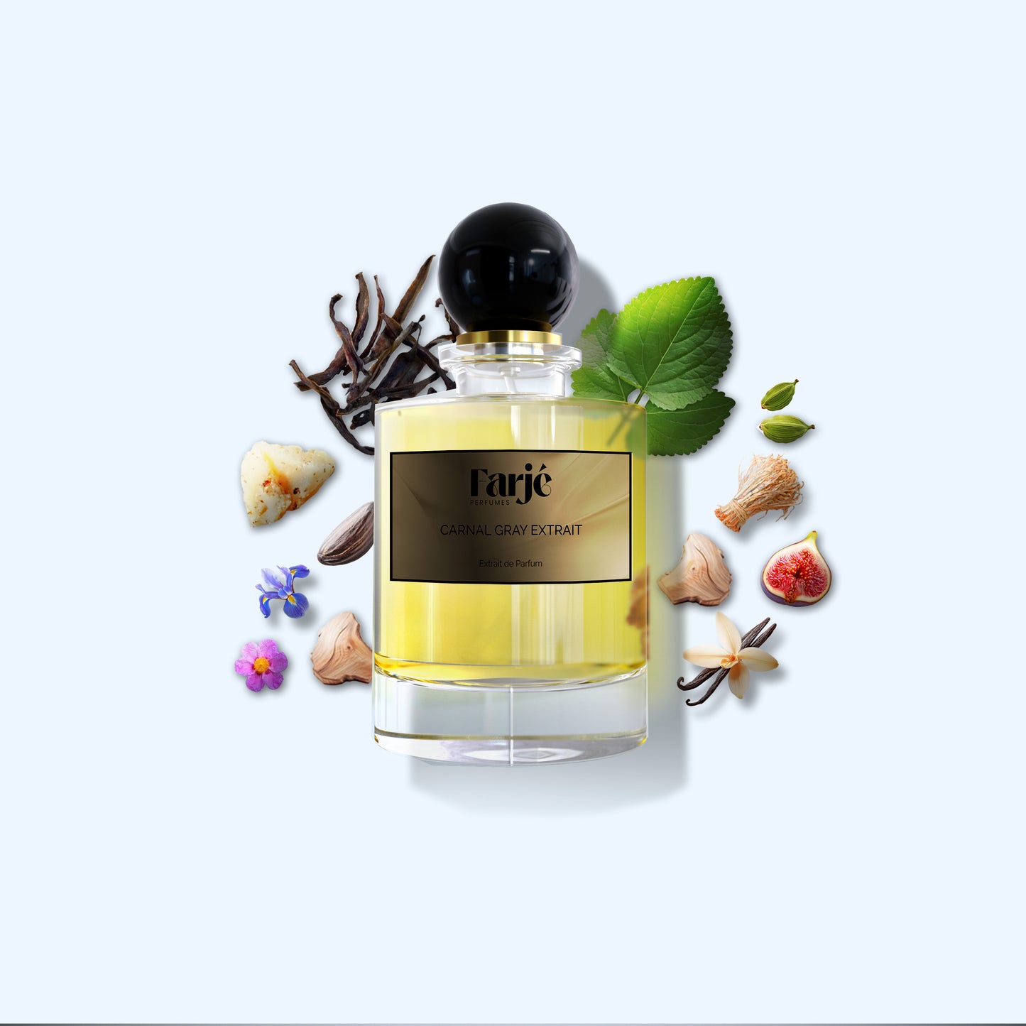 carnal gray extrait