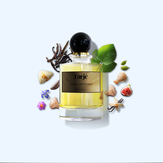 carnal gray extrait