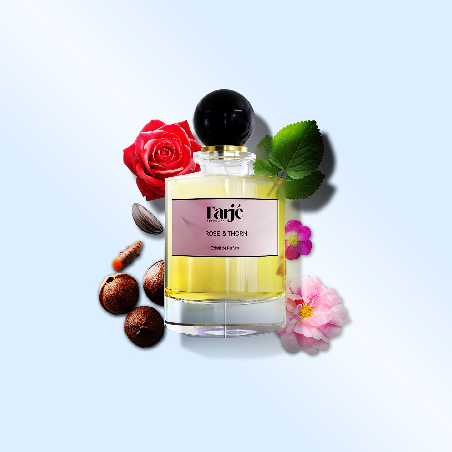 ROSE & THORN
