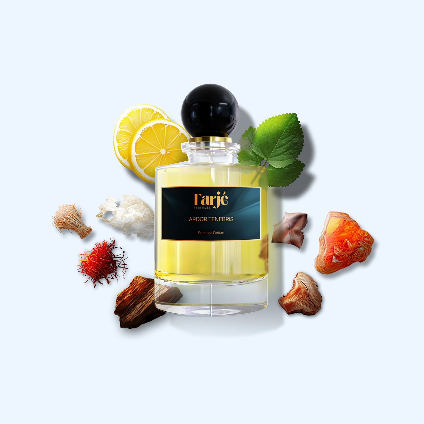 ARDOR TENEBRIS
