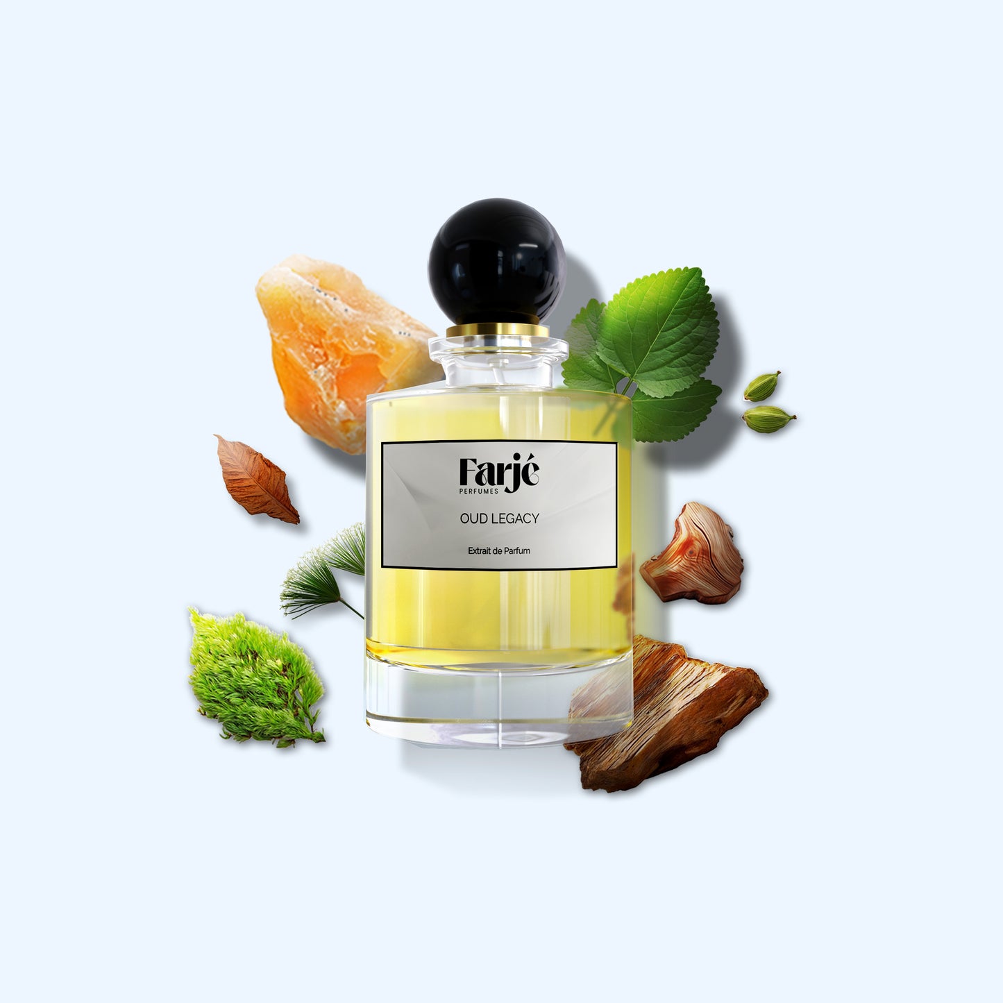 OUD LEGACY