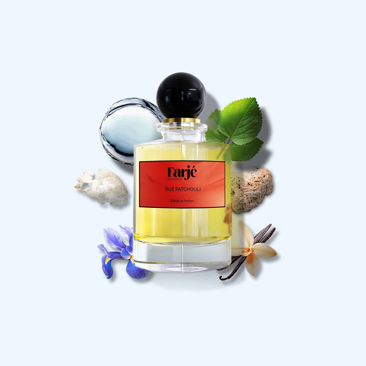 RUE PATCHOULI